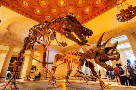 21 Best Dinosaur Museums in the US You Need to See (2024).
